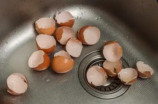 A kitchen sink filled with discarded eggshells. This is an example of what not to put down the sink or disposal in Mission, KS.