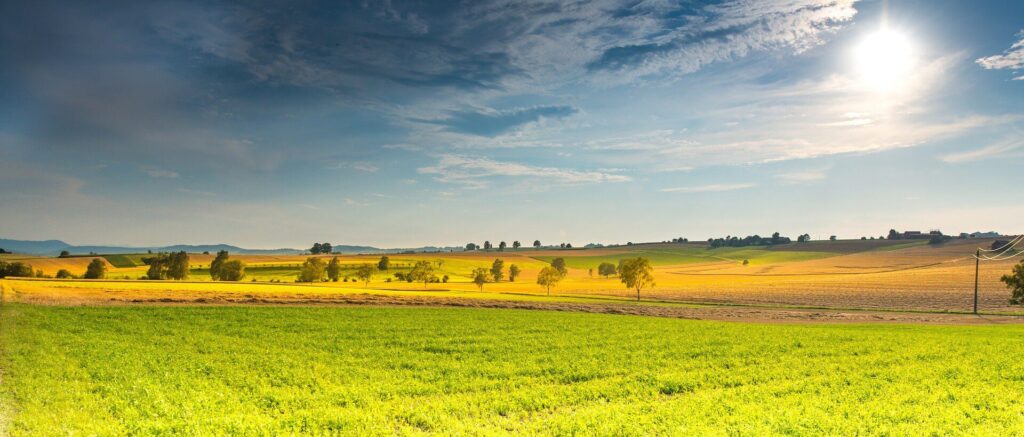 Sunny landscape with green and yellow fields, dotted with trees under a partly cloudy sky. The sun shines brightly from the top right, casting light across the countryside.