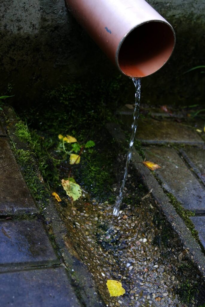 Water flowing from a pipe onto mossy stones, with leaves scattered nearby.